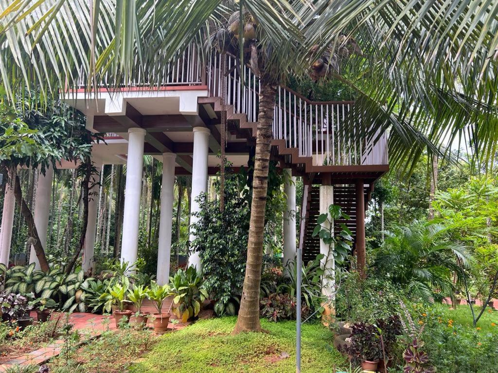 Serenity Villa And Treehouse ปาลักกัด ภายนอก รูปภาพ