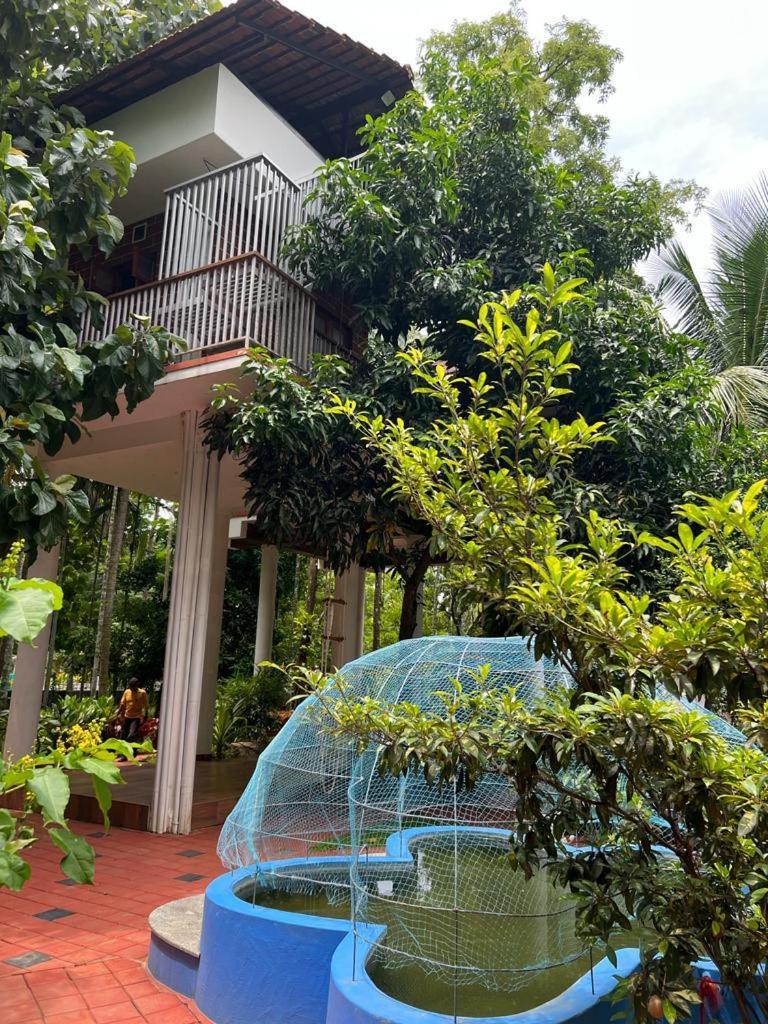 Serenity Villa And Treehouse ปาลักกัด ภายนอก รูปภาพ